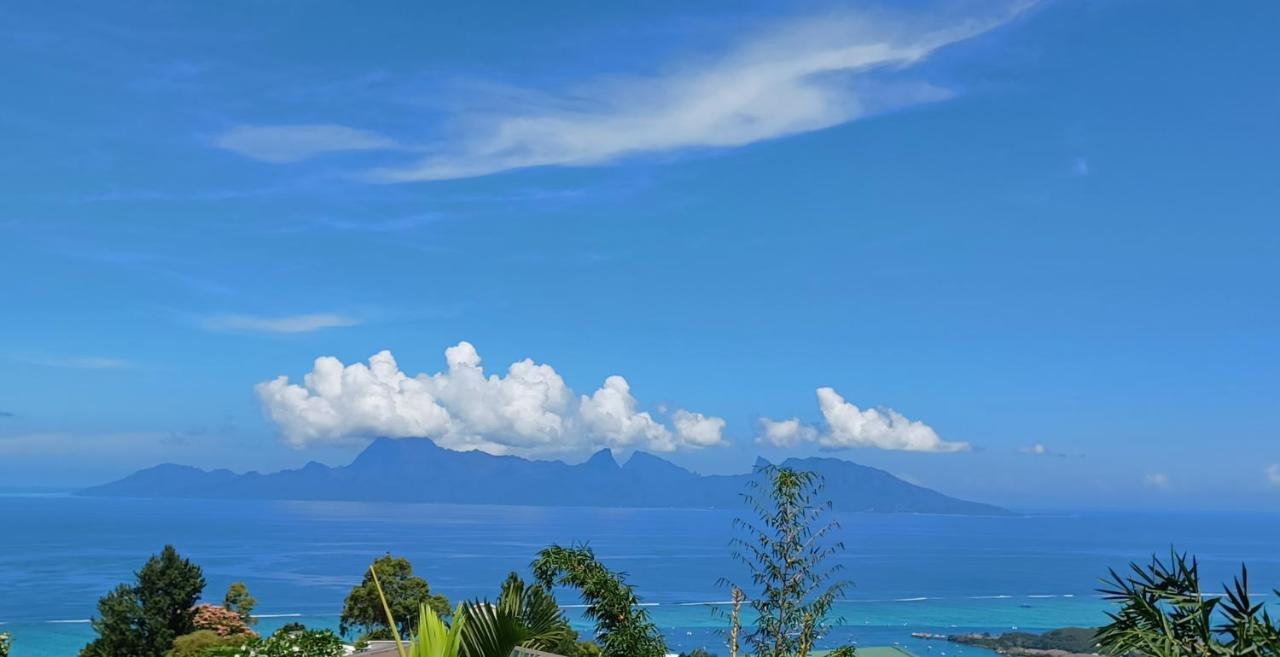Studio Confort Avec Piscine Et Vue Tahiti Punaauia 외부 사진