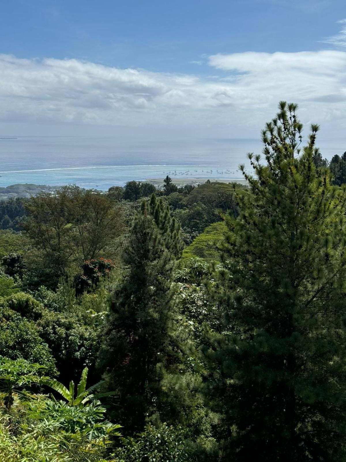 Studio Confort Avec Piscine Et Vue Tahiti Punaauia 외부 사진