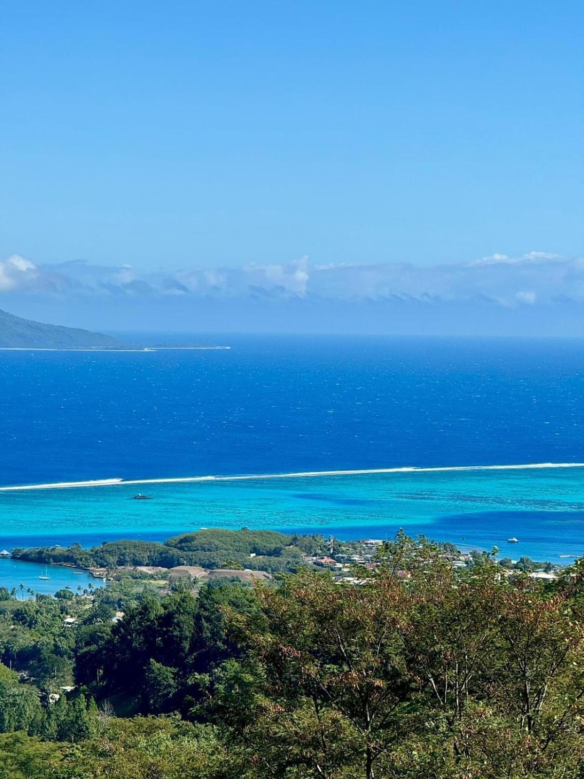 Studio Confort Avec Piscine Et Vue Tahiti Punaauia 외부 사진