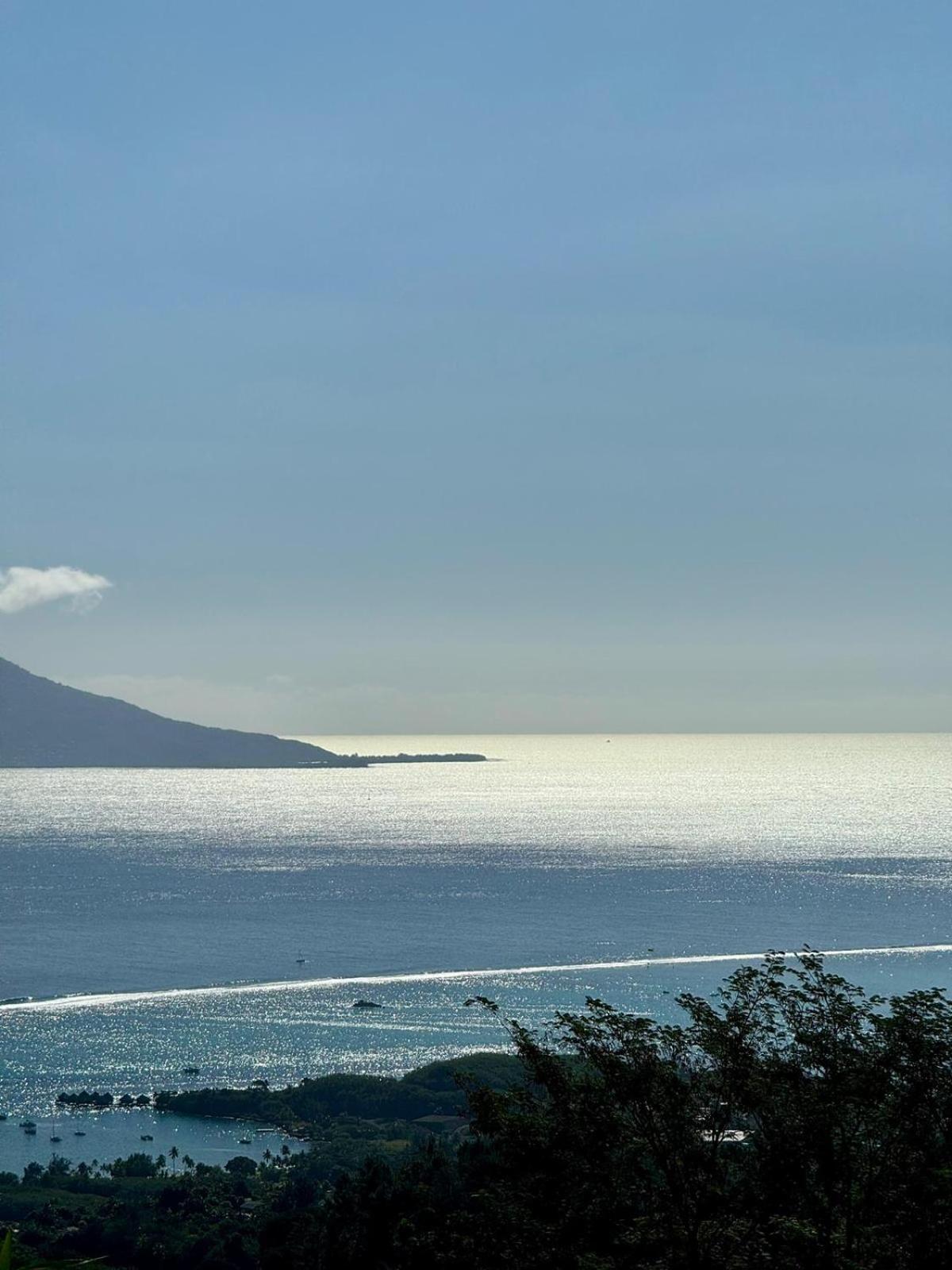 Studio Confort Avec Piscine Et Vue Tahiti Punaauia 외부 사진