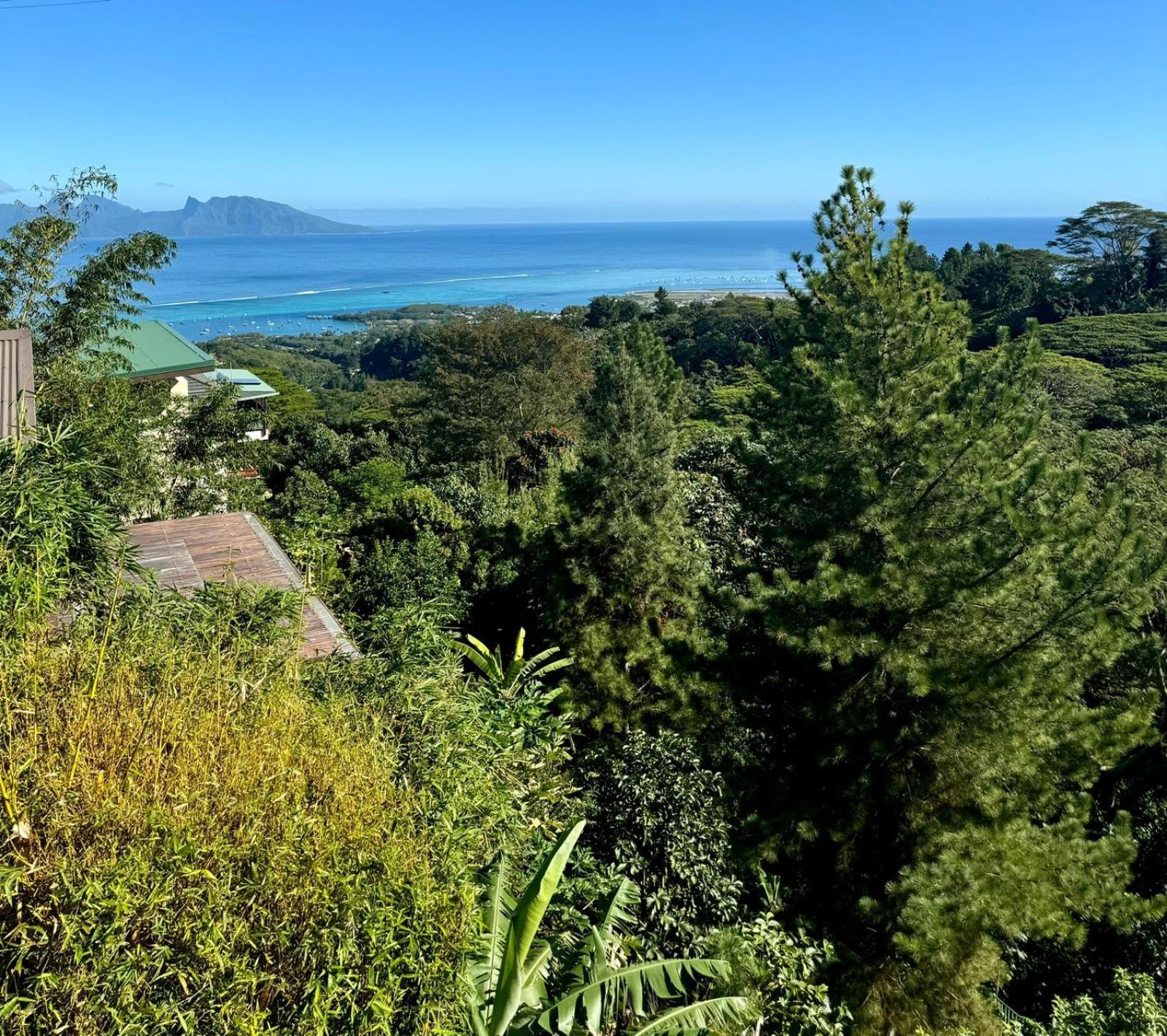 Studio Confort Avec Piscine Et Vue Tahiti Punaauia 외부 사진